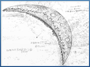 月の形をしたエグザイルコクーン